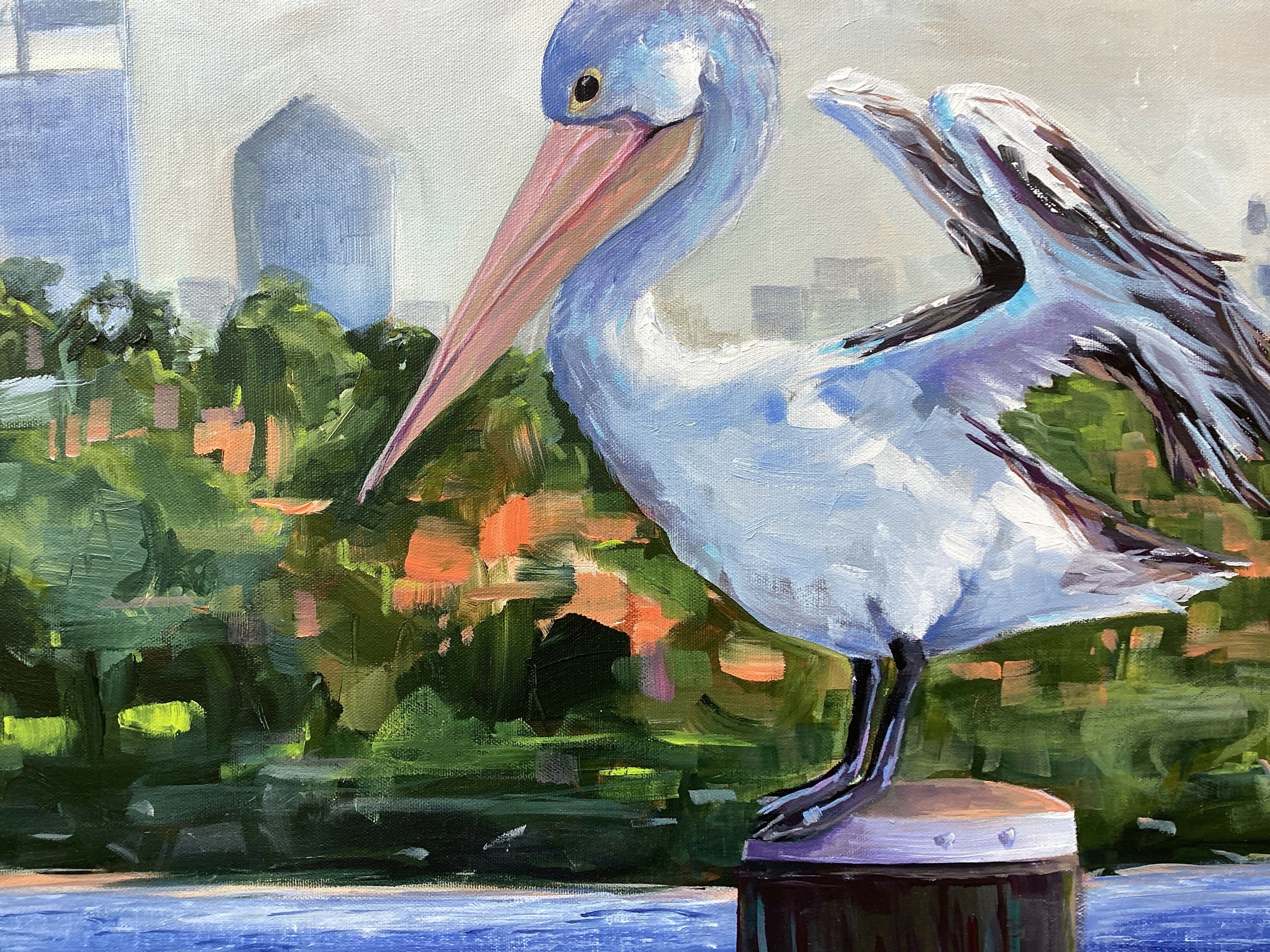 Perth Pelican