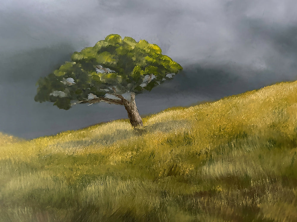 Solitude II