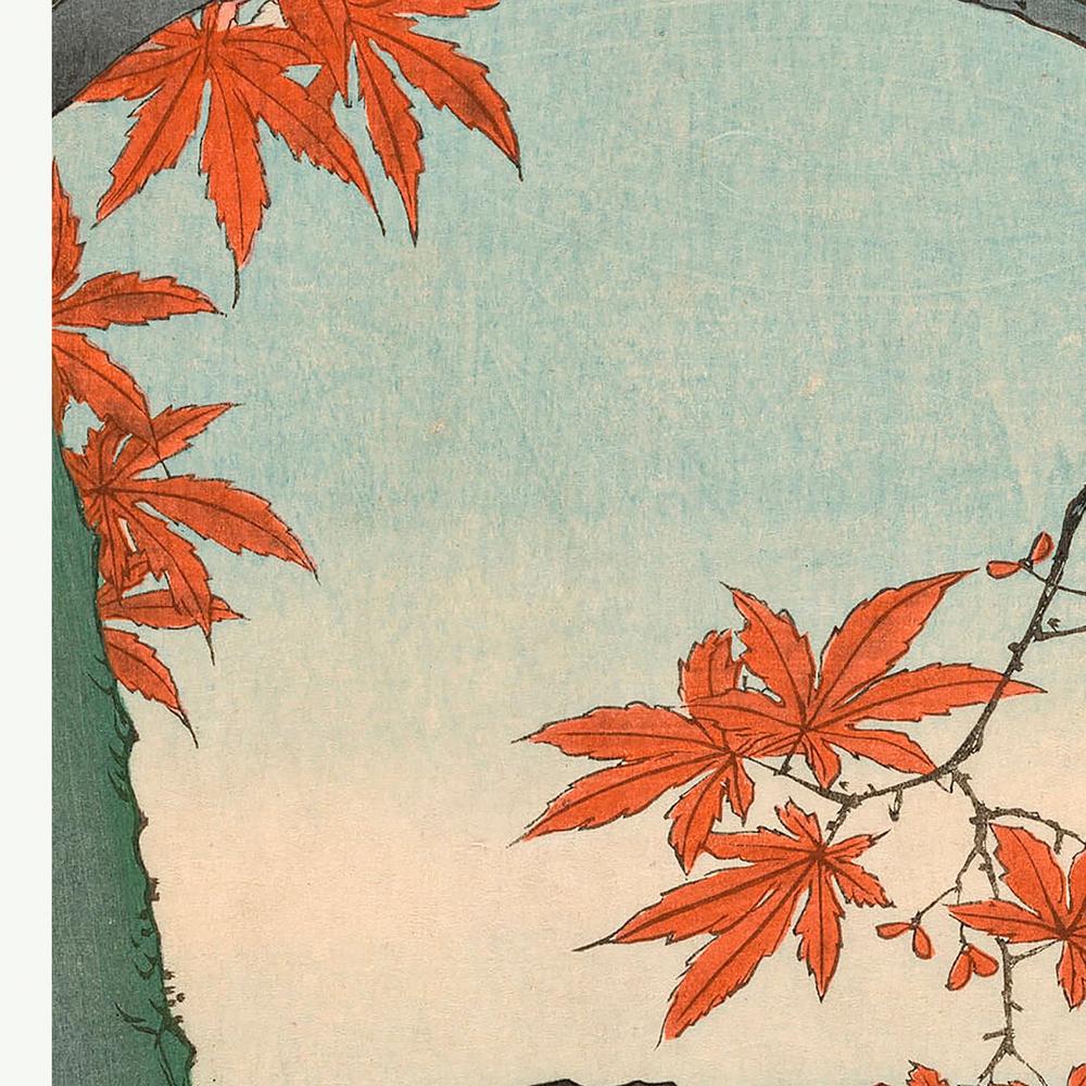 Maple Trees At Mama