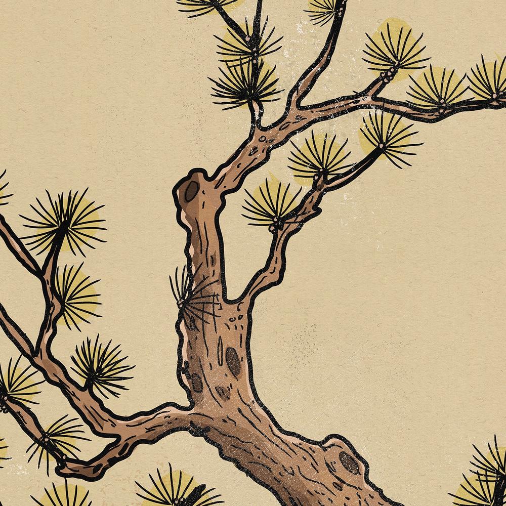Serene Japanese Pine Landscape