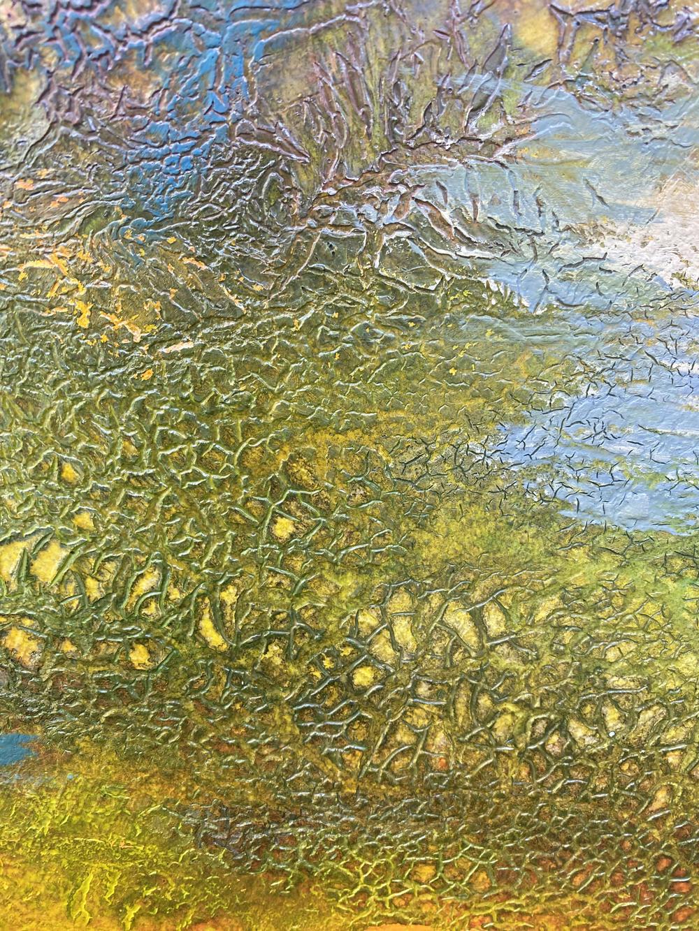 Morning Bird Song