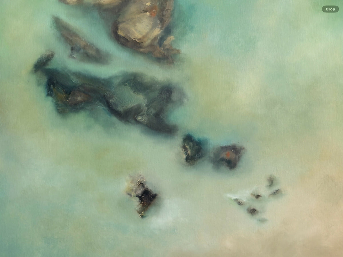 In the shallows , Original Artwork
