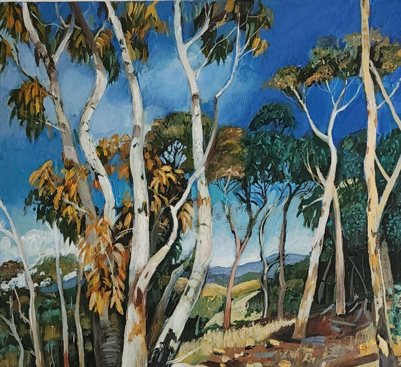 Brindabella Blue