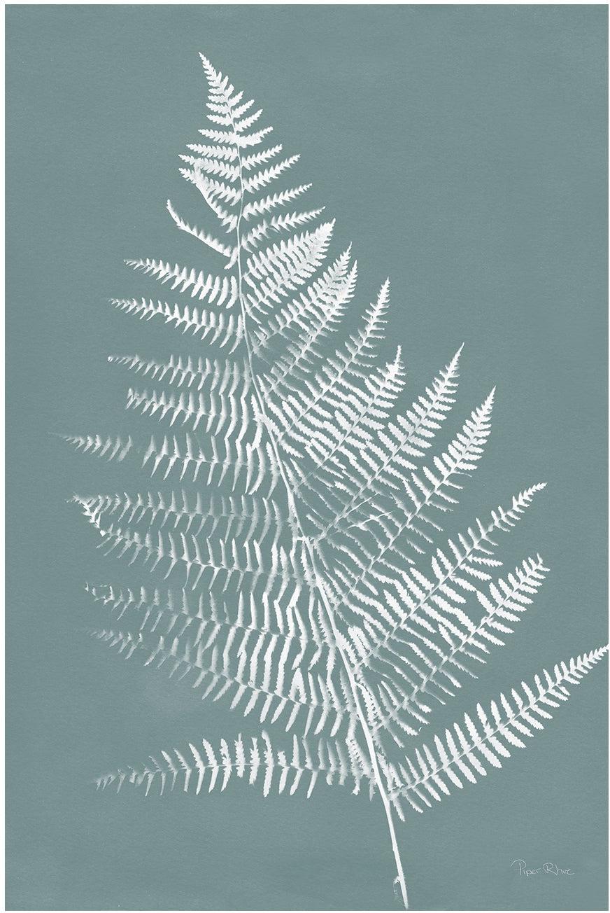 Nature By The Lake Ferns VI