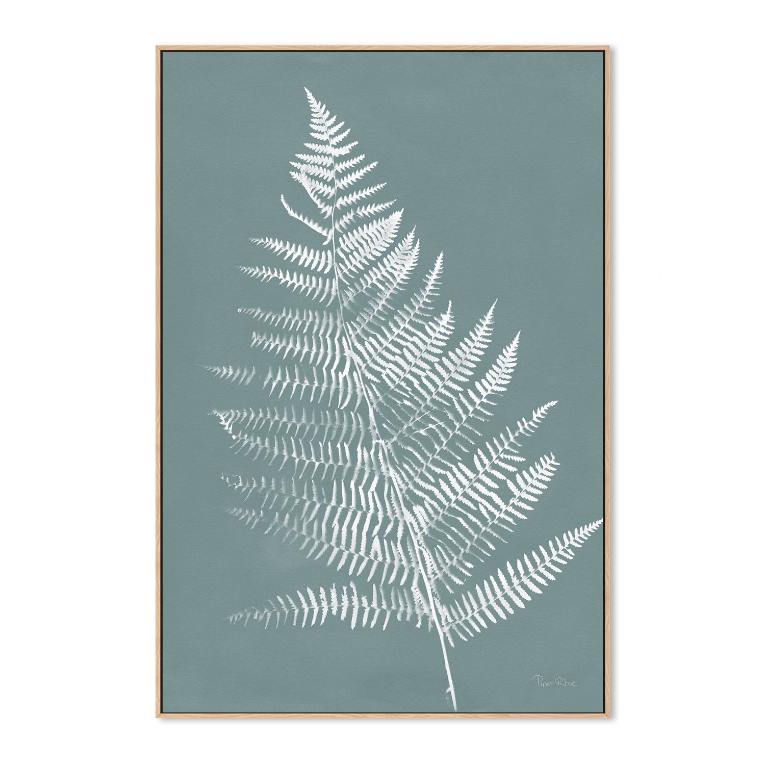Nature By The Lake Ferns VI