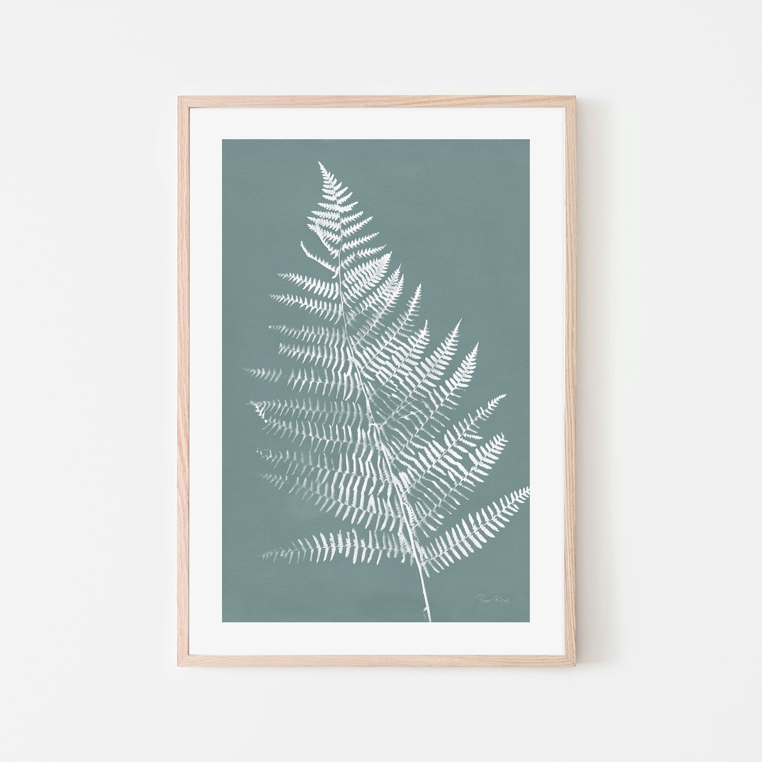 Nature By The Lake Ferns VI