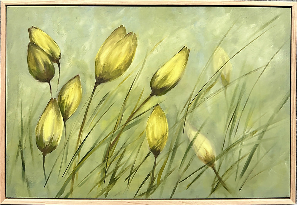 Wild Tulips