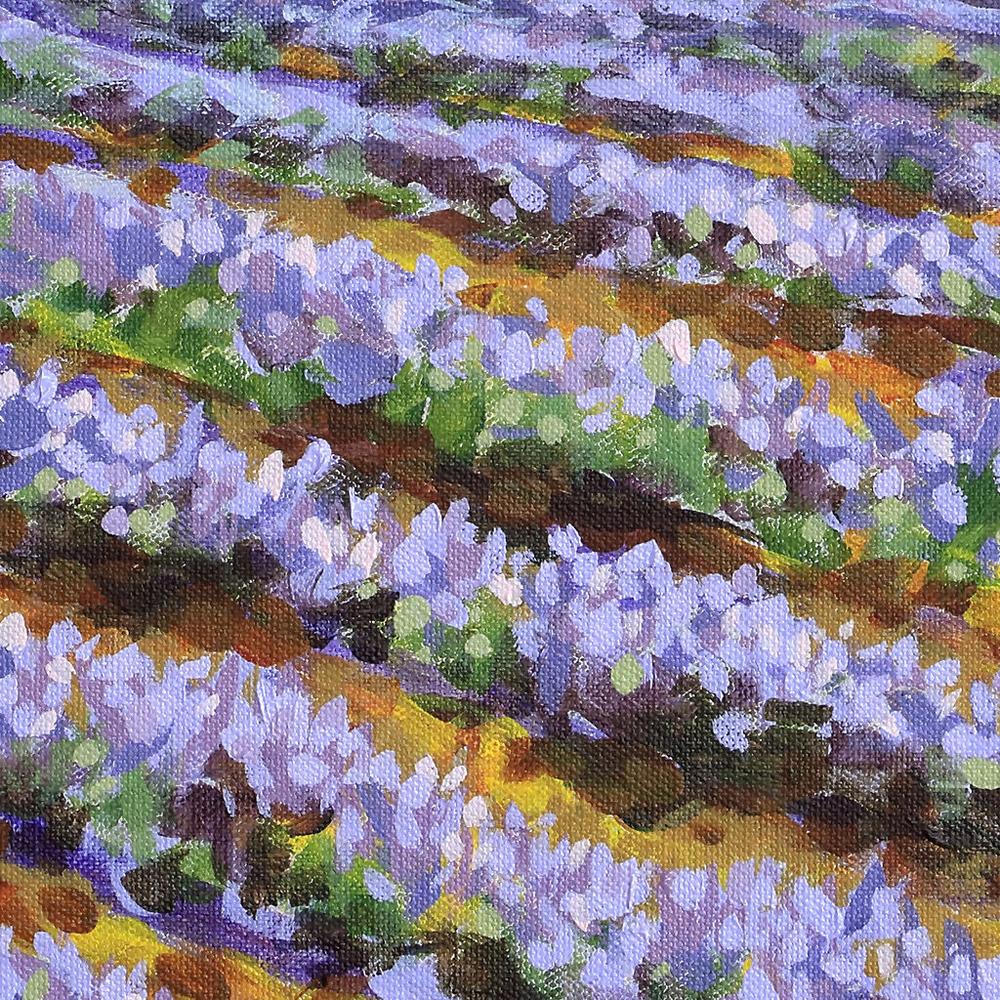 Moments in Lavender
