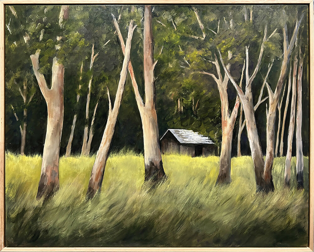 Hidden in the Forest