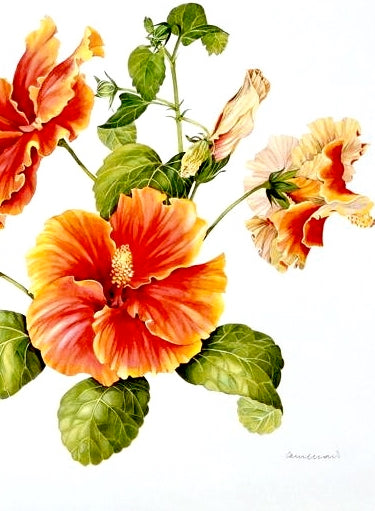 Eye Do Hibiscus , Original Artwork