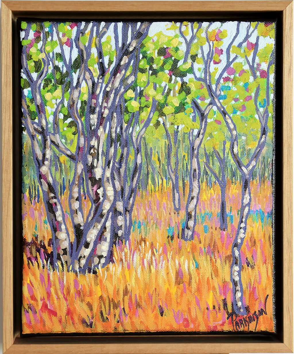 The Enchanted Outback