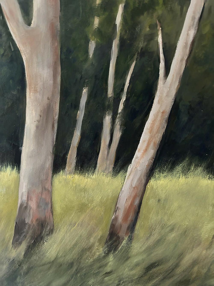 Hidden in the Forest
