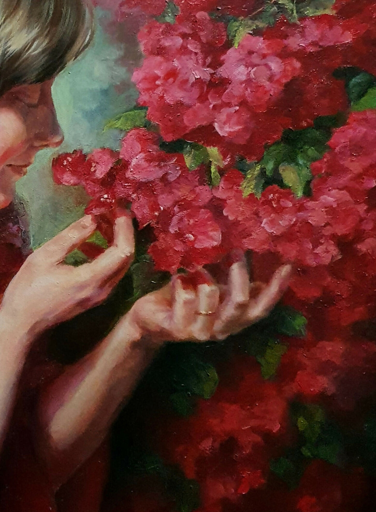 Where Bougainvillea Blooms