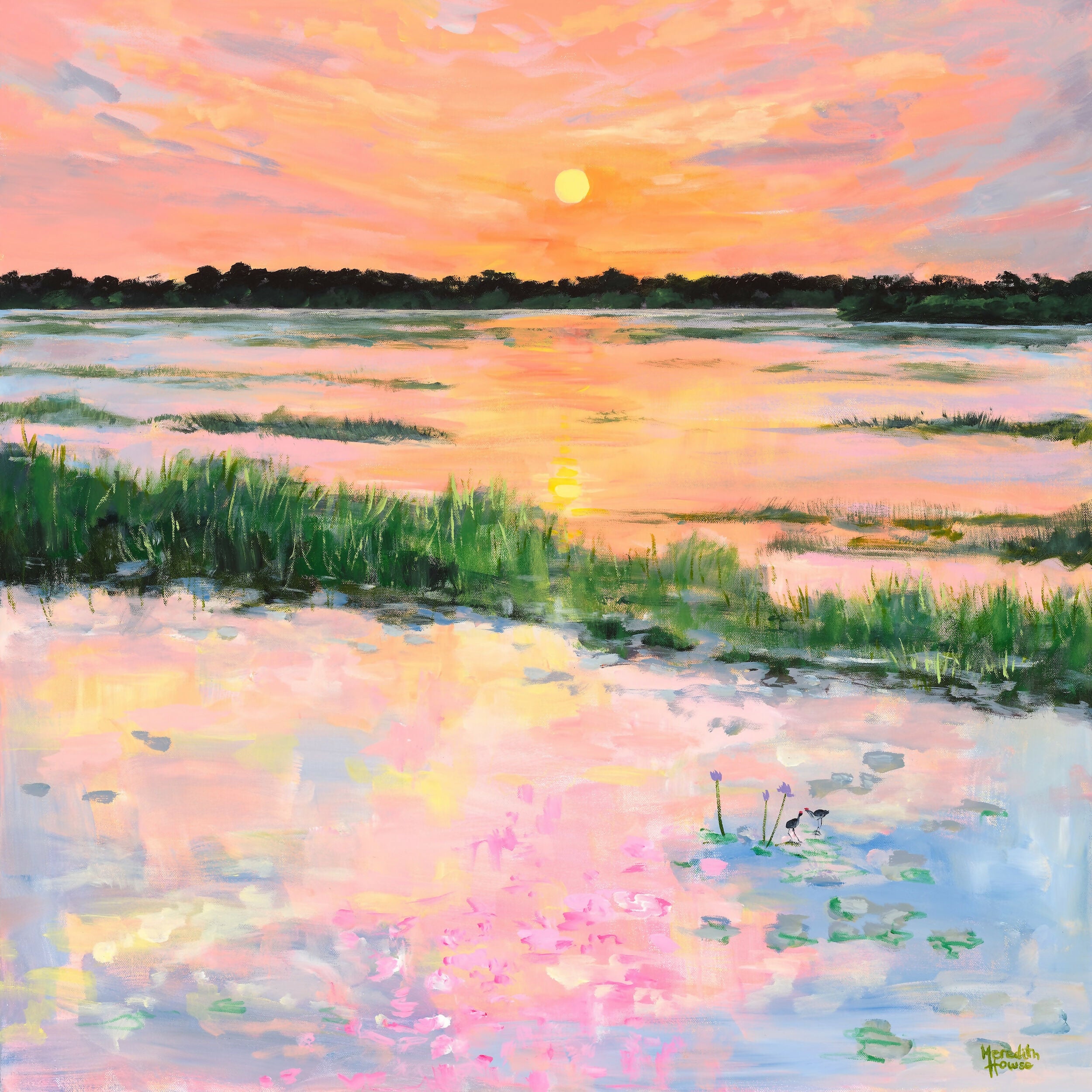 Kakadu Jacana Sunset