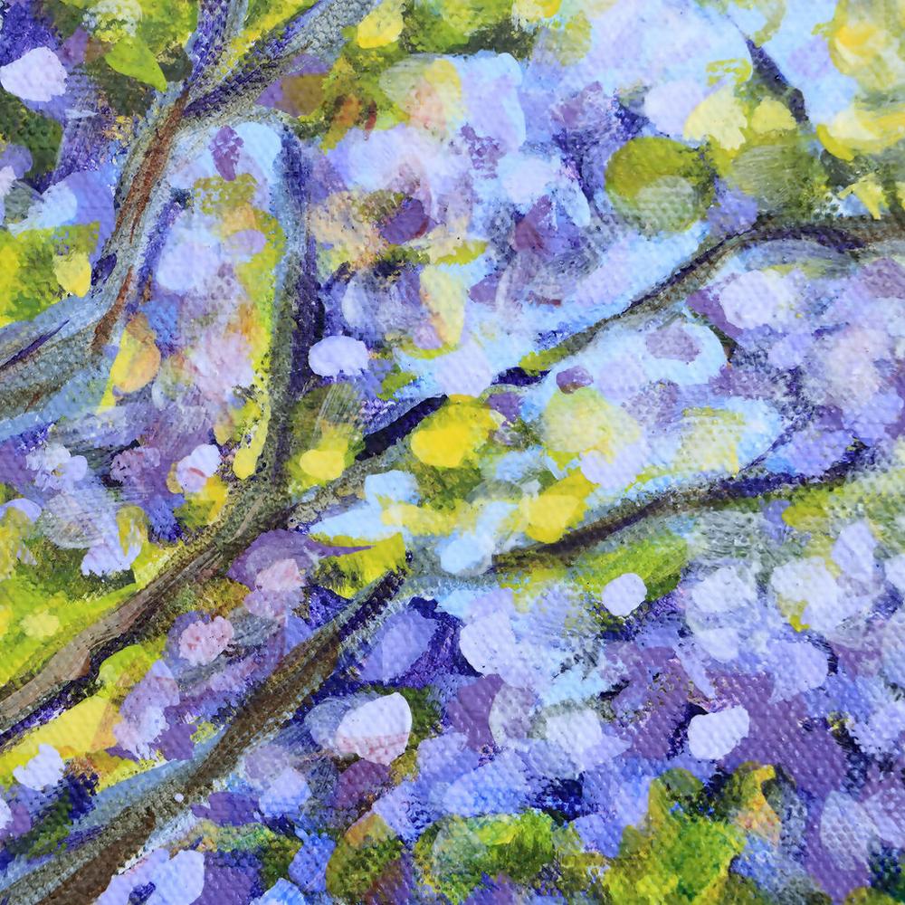 Jacarandas Heralding Summer