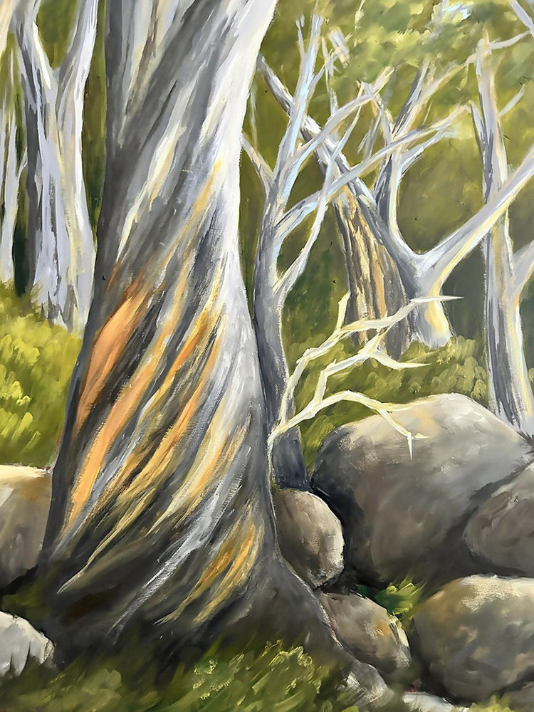 Snow Gums