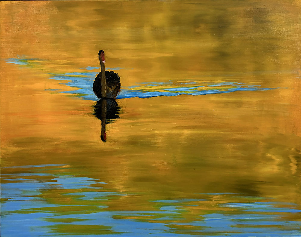Swan Sunset