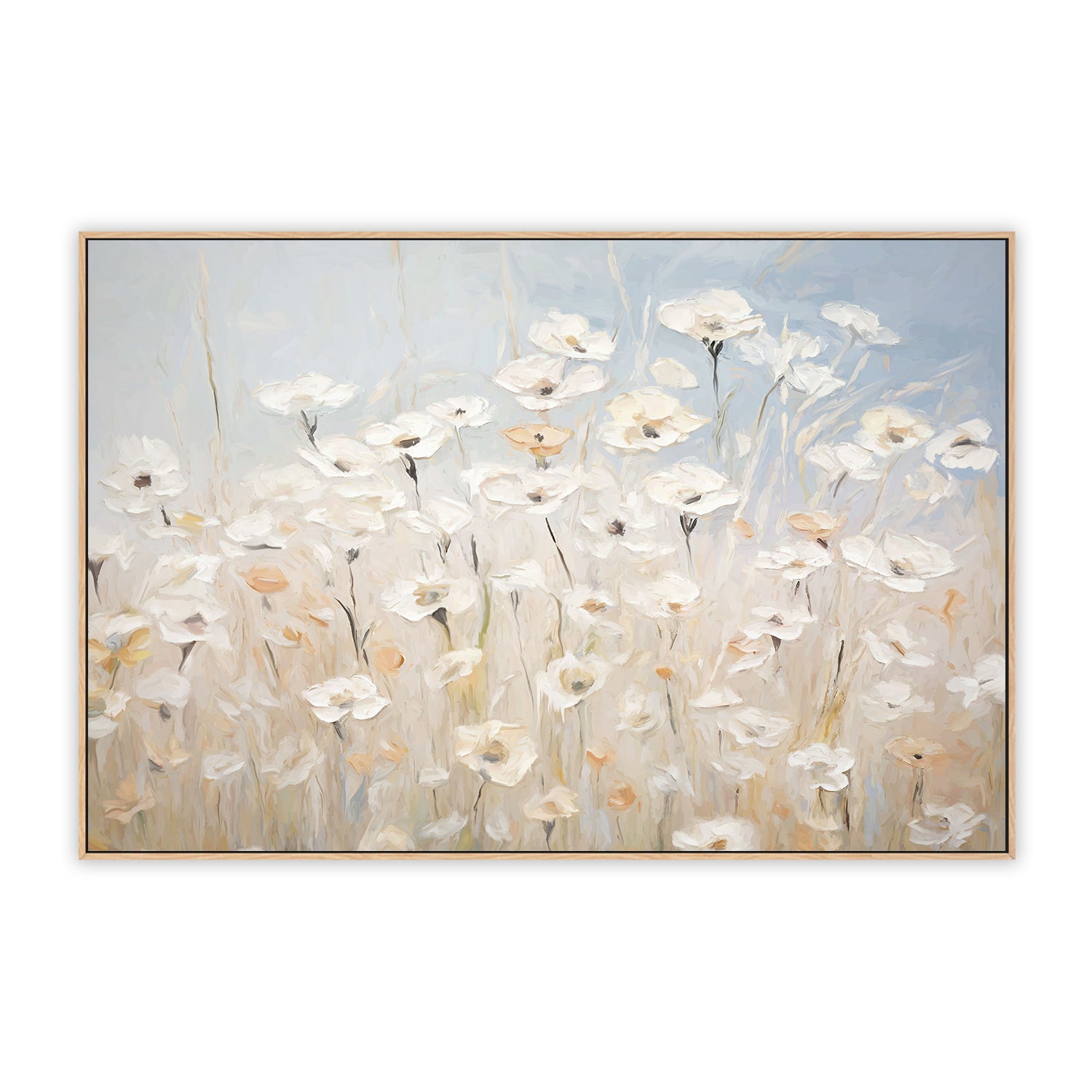 Daisy Meadow
