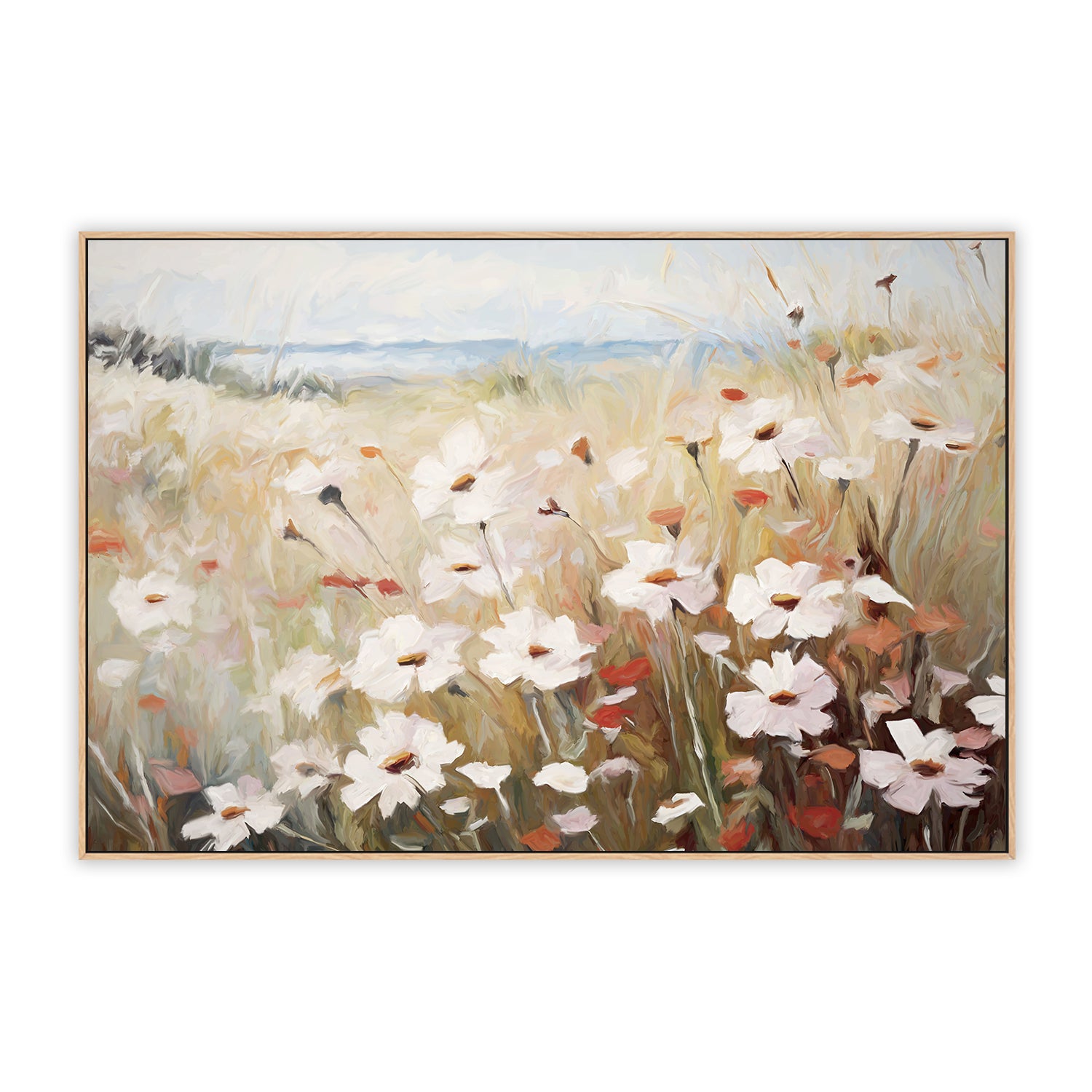 Poppies And Daisies