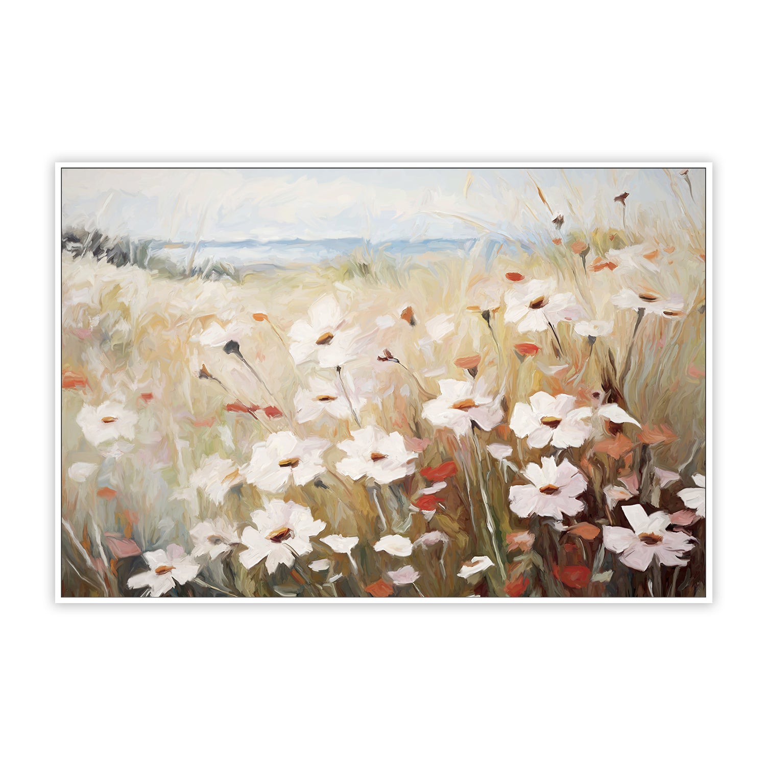Poppies And Daisies