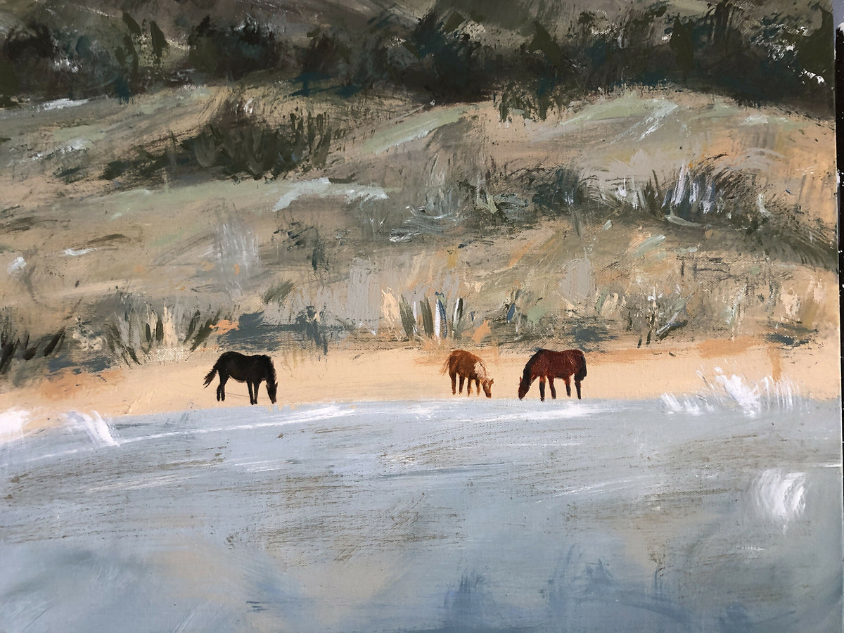Brumbies Drinking Lakeside