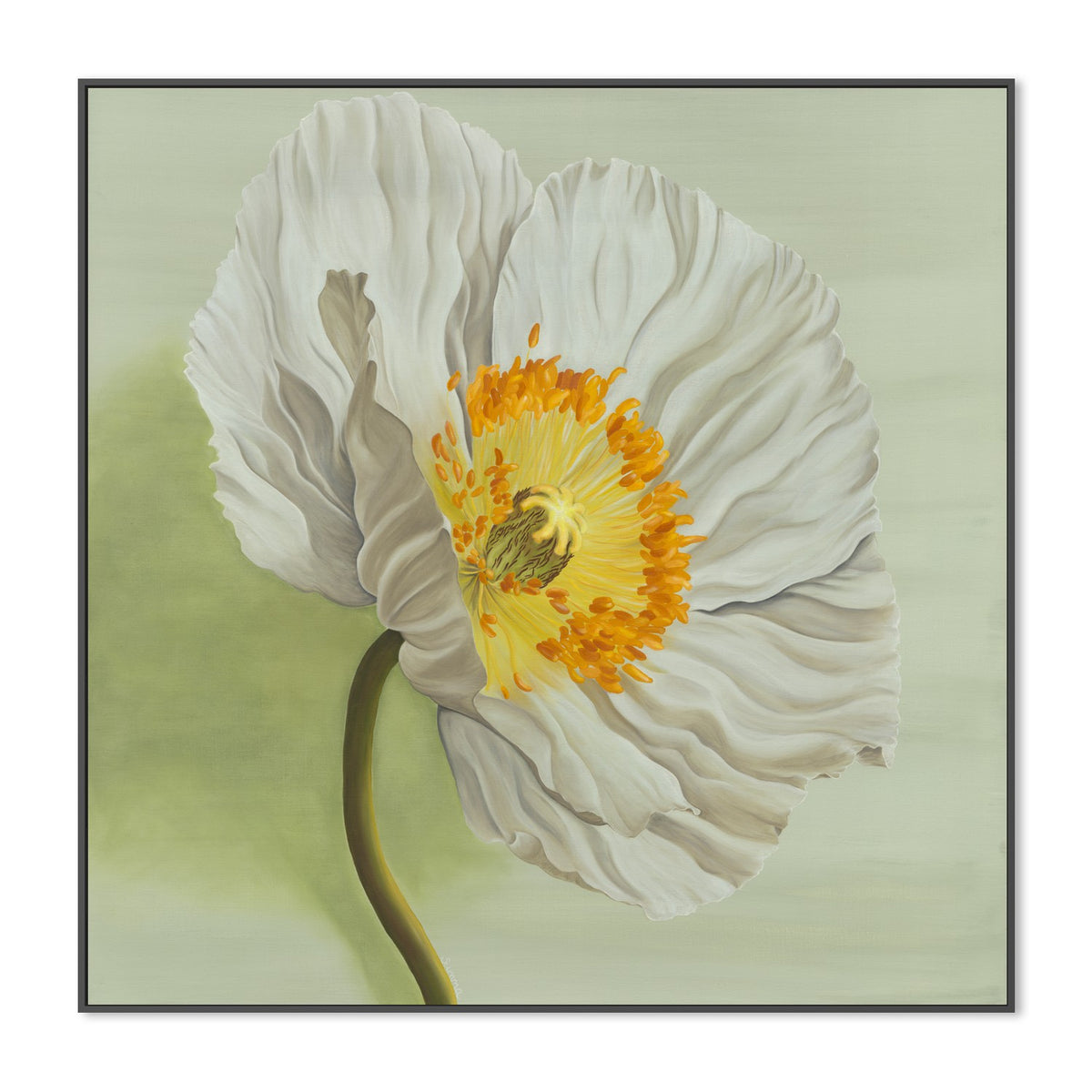 Single White Flower