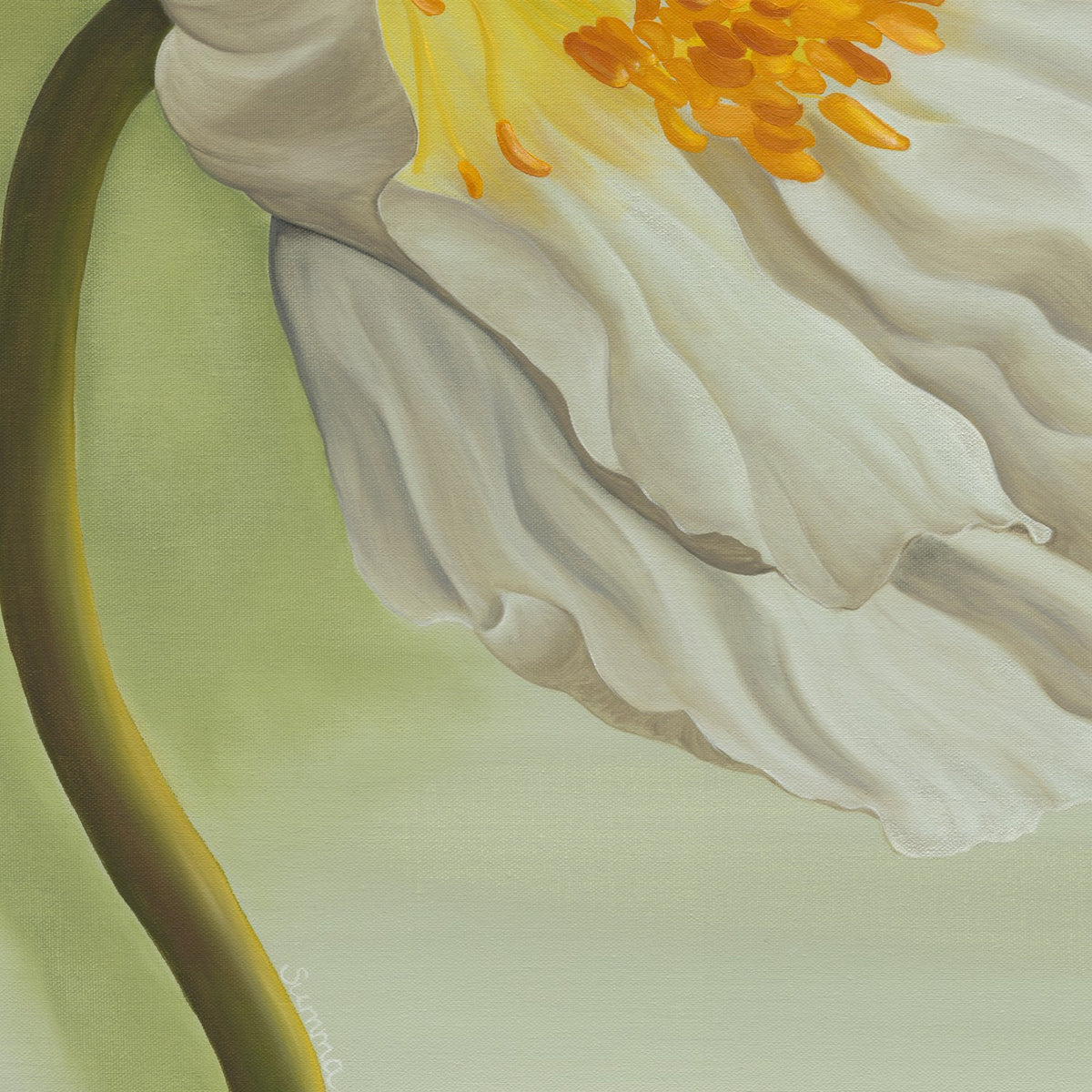 Single White Flower