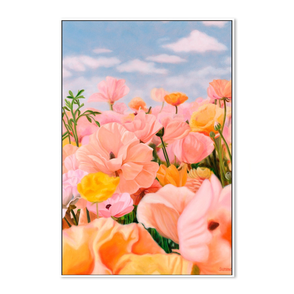Pink Field of Dreams