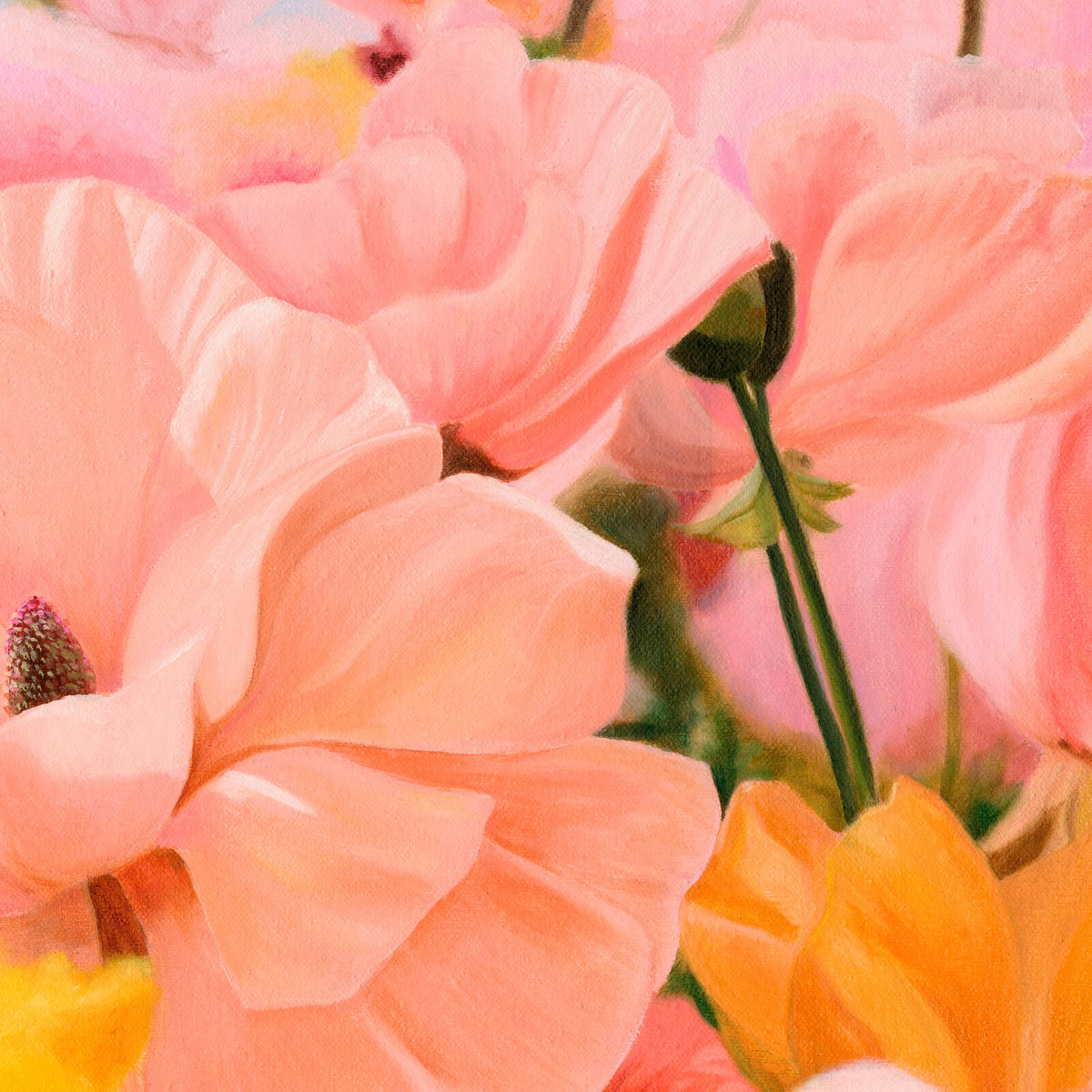 Pink Field of Dreams