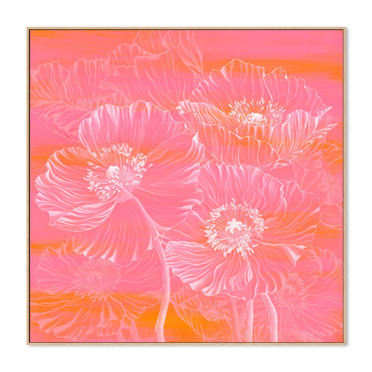 Poppies
