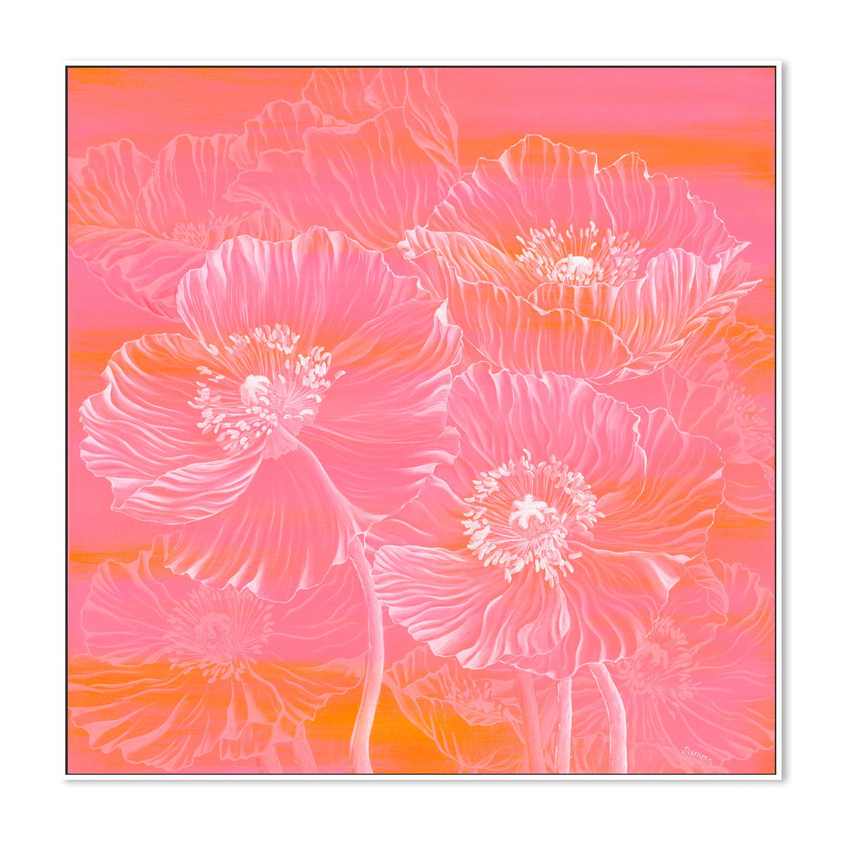 Poppies