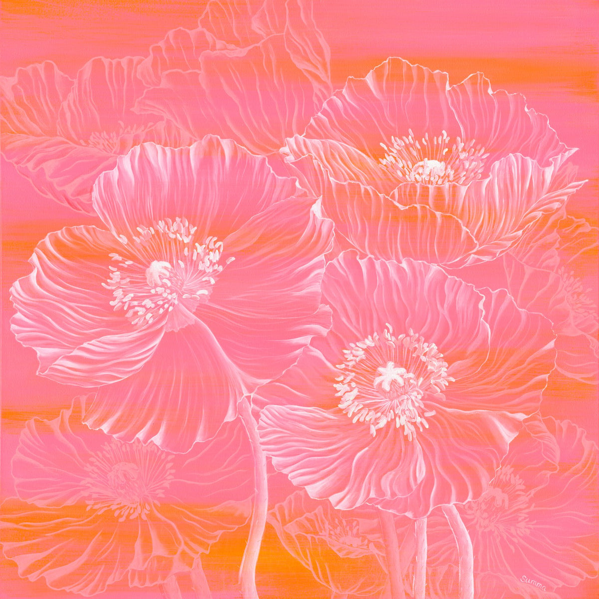 Poppies