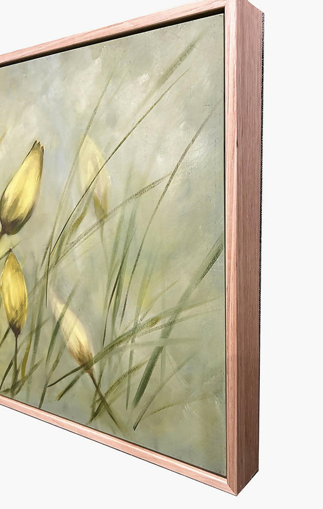 Wild Tulips