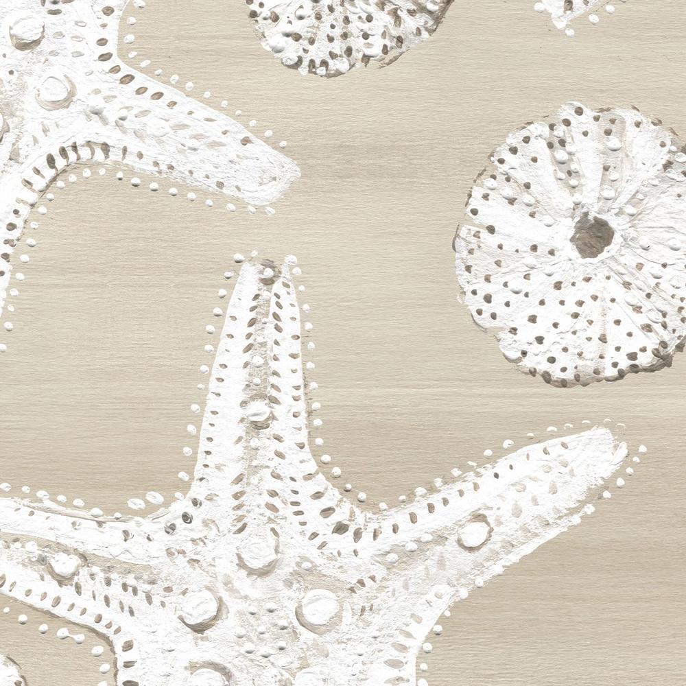 Beach Treasures Pattern I-wallpaper-eco-friendly-easy-removal-Yvette St. Amant-4