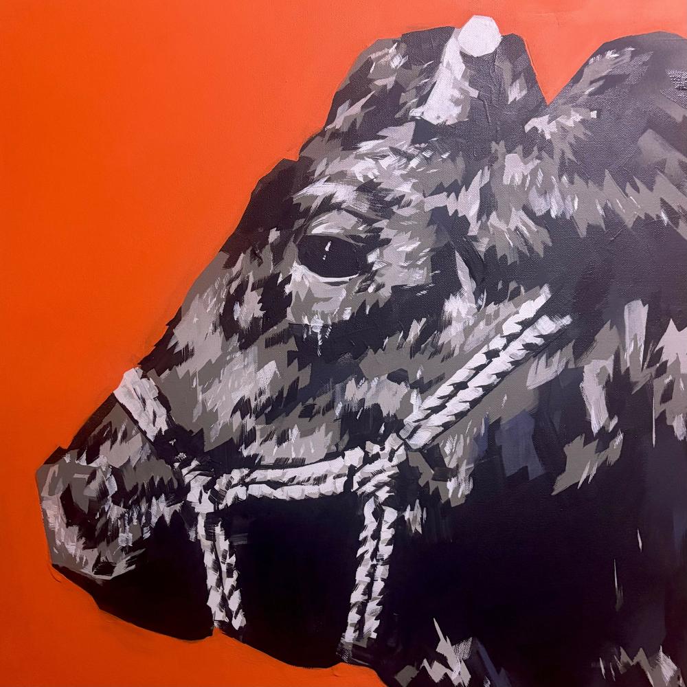 Bullish-by-jake reston-original art-Gioia