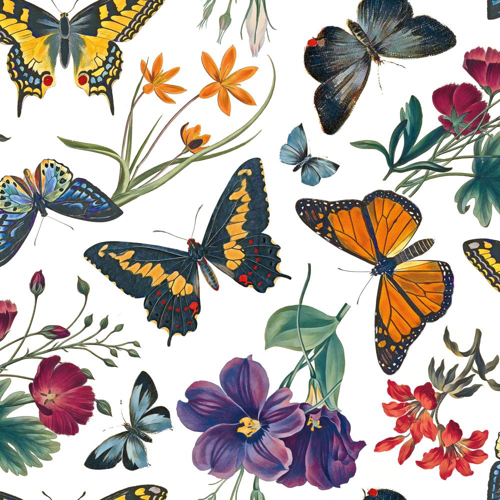 Butterfly Garden Pattern IIIA-wallpaper-eco-friendly-easy-removal-Wild Apple Portfolio-1