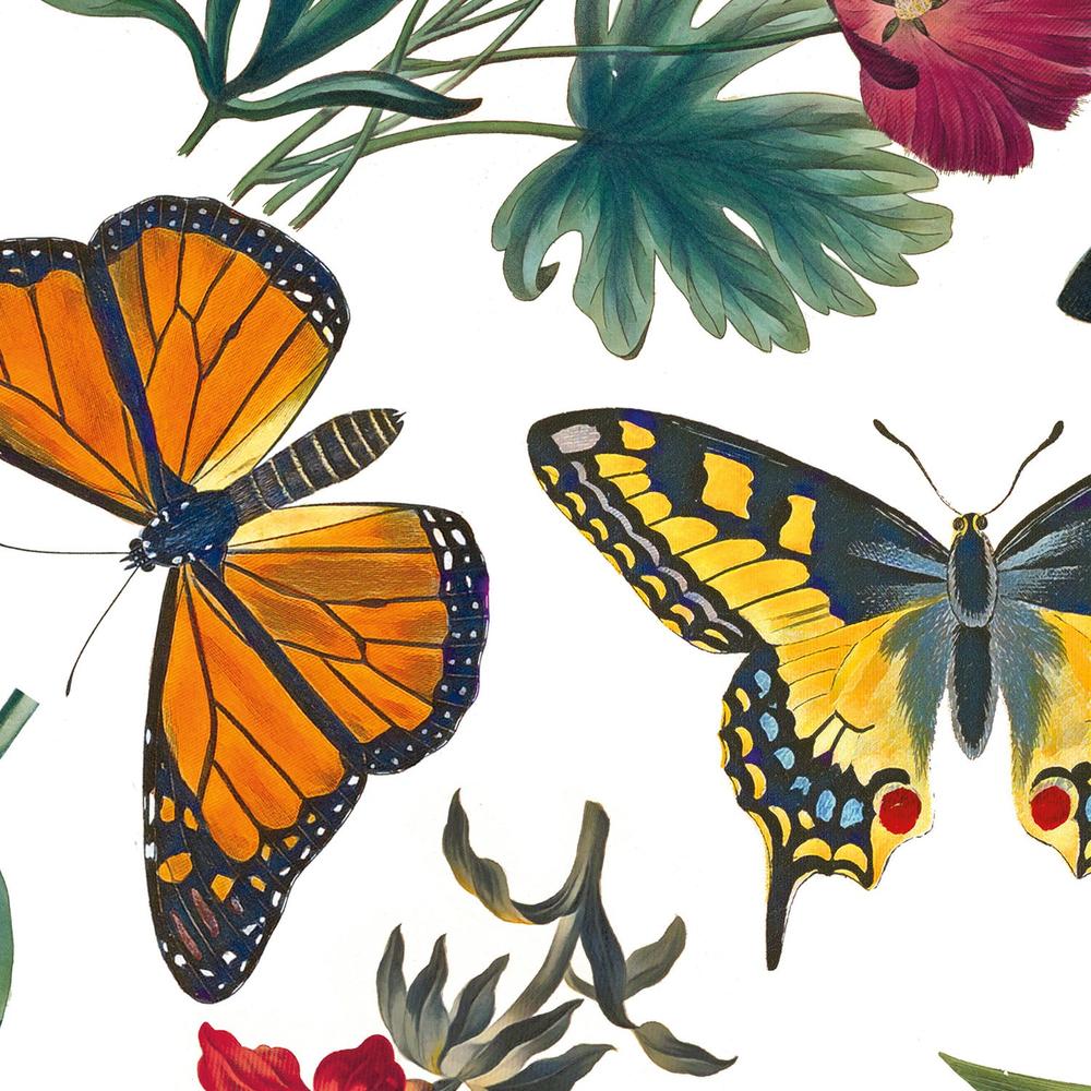 Butterfly Garden Pattern IIIA-wallpaper-eco-friendly-easy-removal-Wild Apple Portfolio-3
