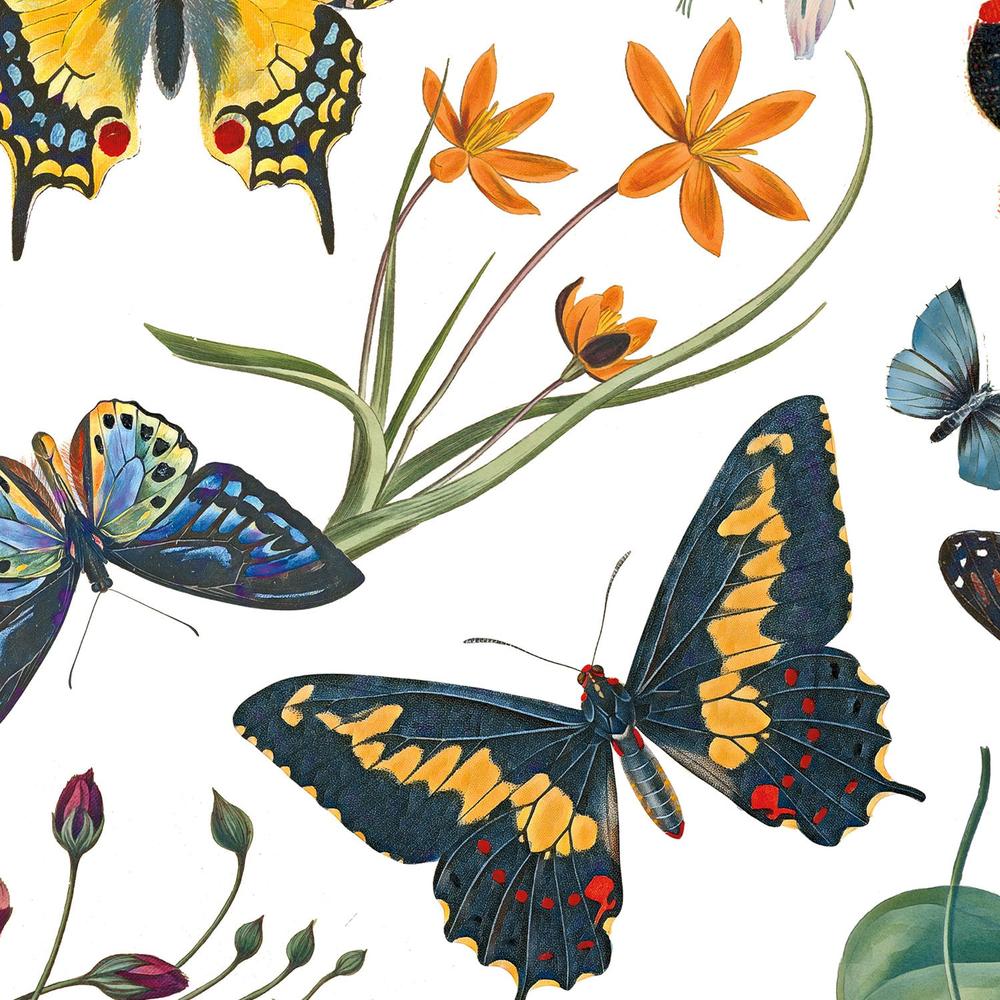 Butterfly Garden Pattern IIIA-wallpaper-eco-friendly-easy-removal-Wild Apple Portfolio-4