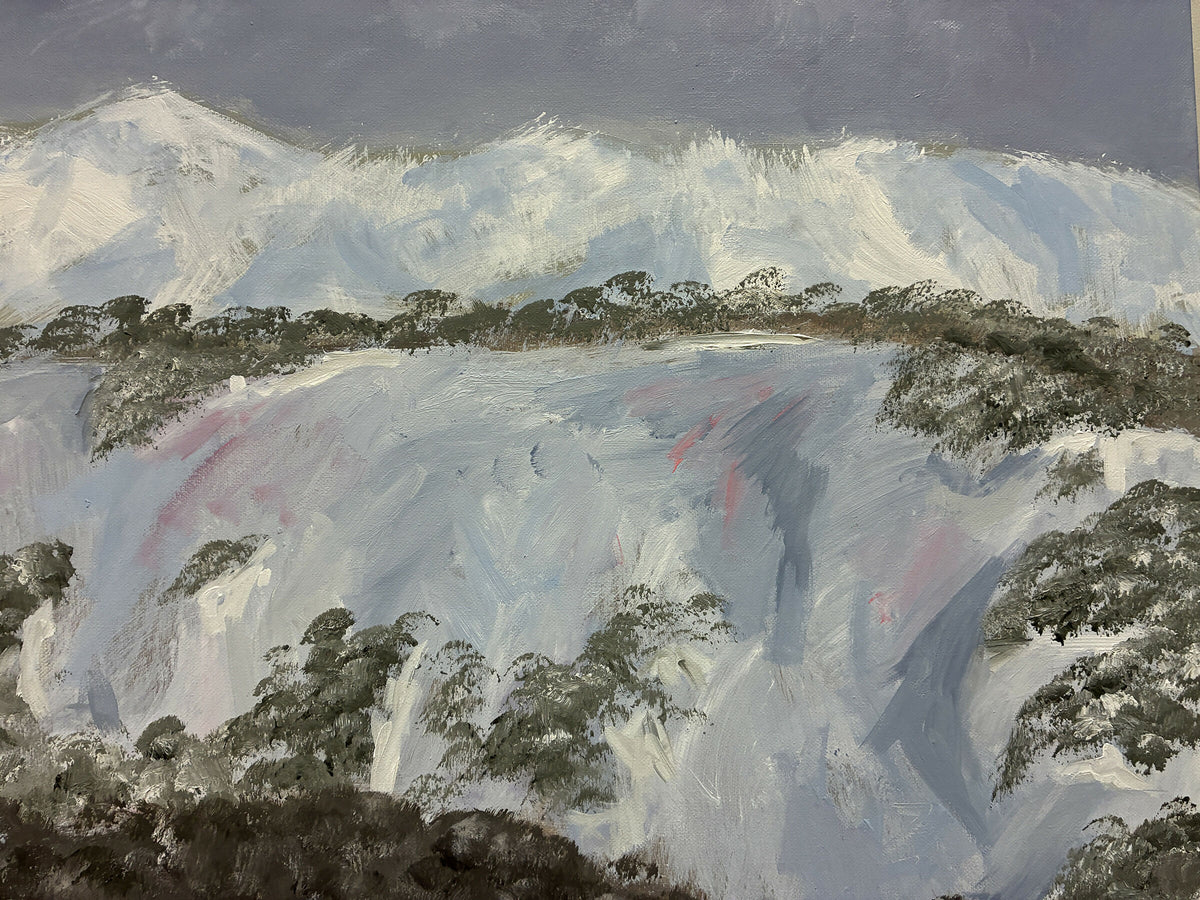 Pristine Perisher