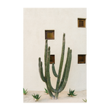 Cabo Cactus IX , By Bethany Young