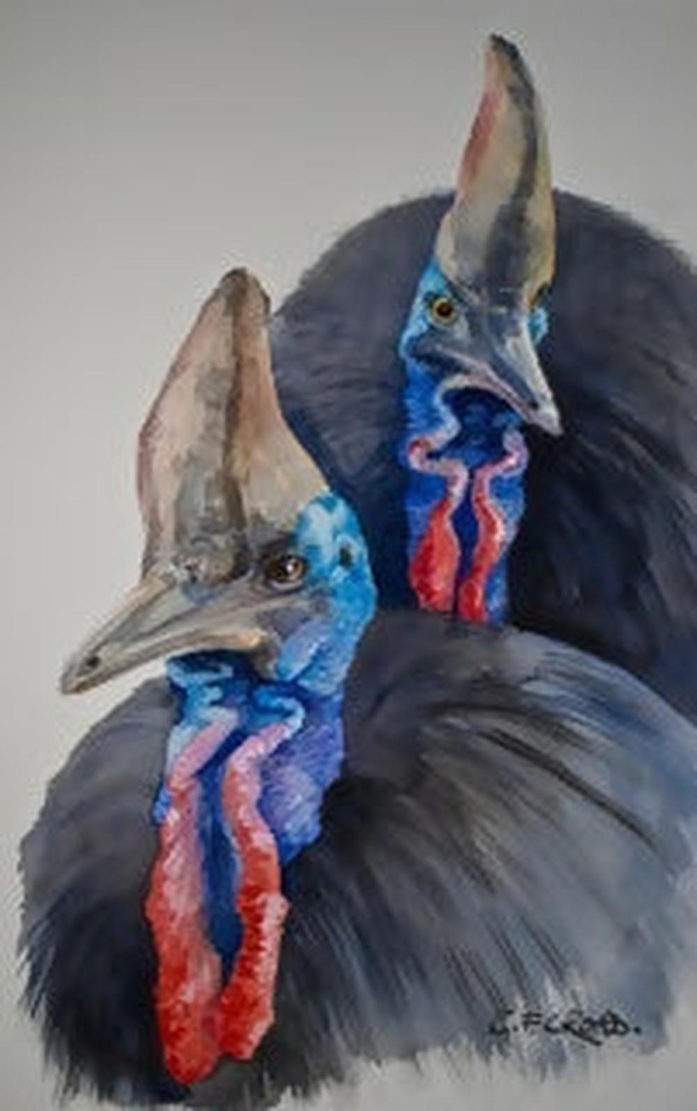 Cassowaries Beware-by-Carol Forbes Croad-original art-Gioia
