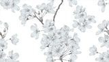Cherry Blossum, Style A, Wallpaper