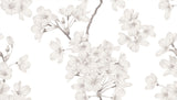 Cherry Blossom, Style B, Wallpaper