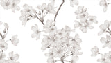 Cherry Blossum, Style C, Wallpaper