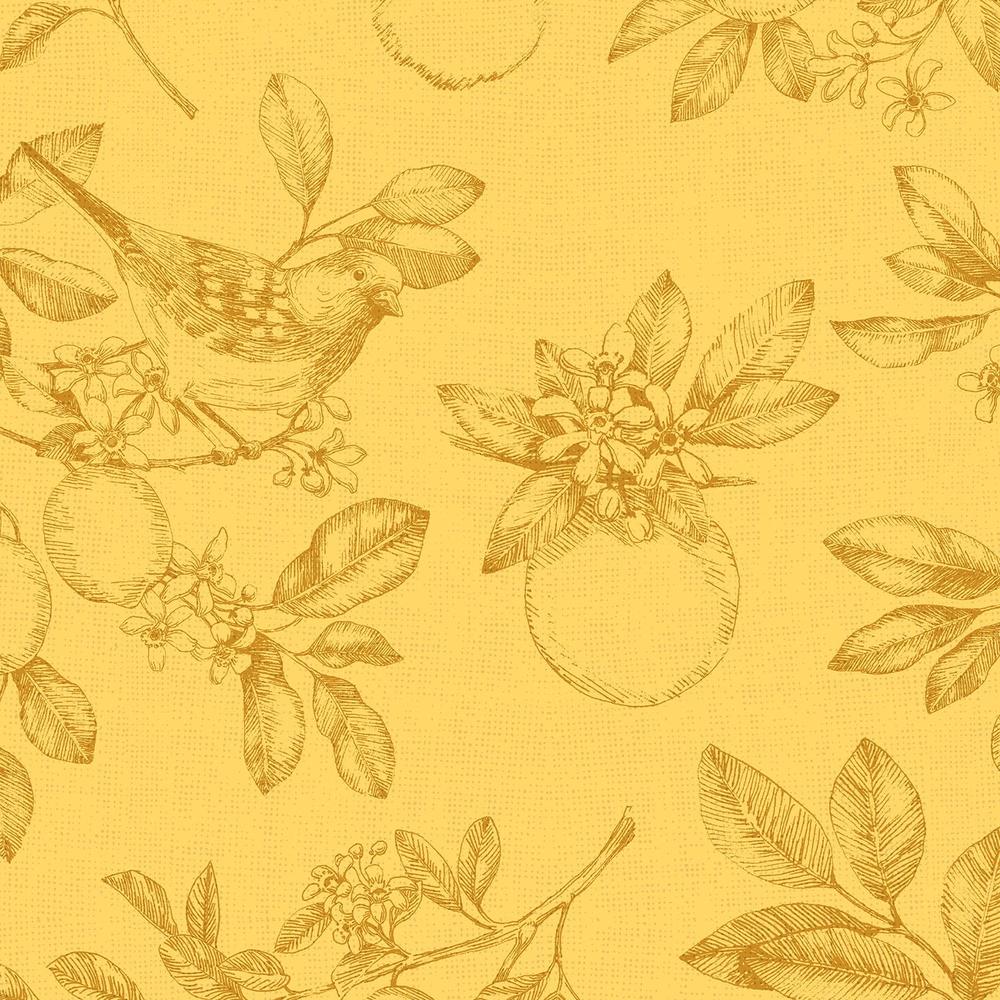 Citrus Wings Pattern IIC-wallpaper-eco-friendly-easy-removal-Beth Grove-4