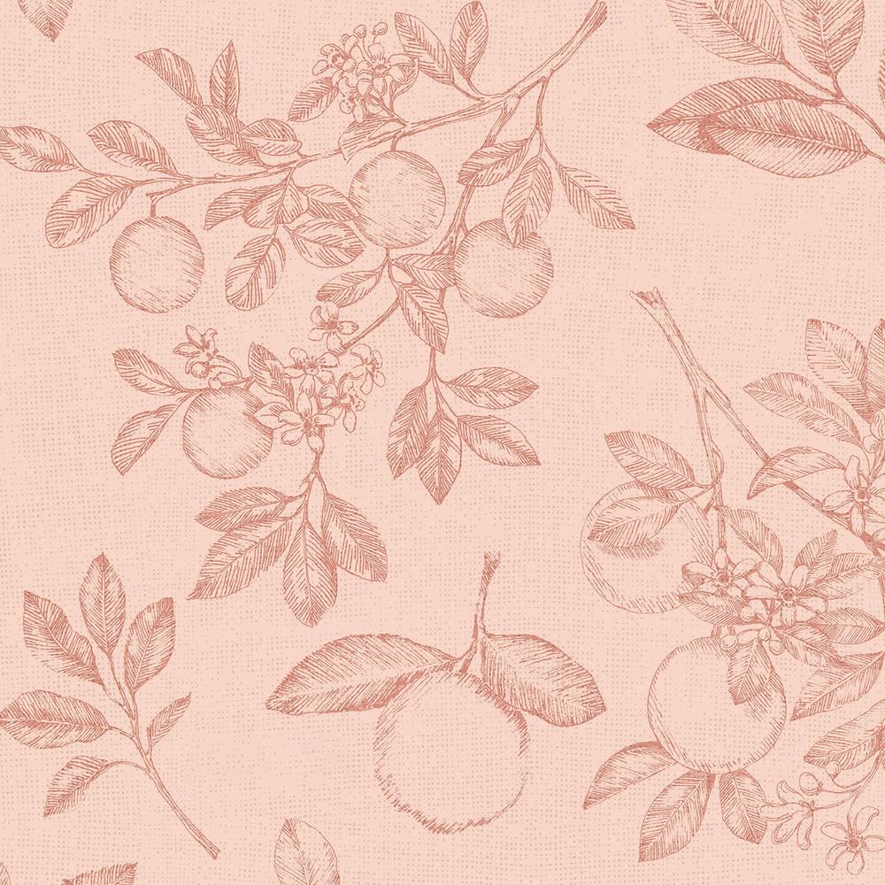 Citrus Wings Pattern IIF-wallpaper-eco-friendly-easy-removal-Beth Grove-4