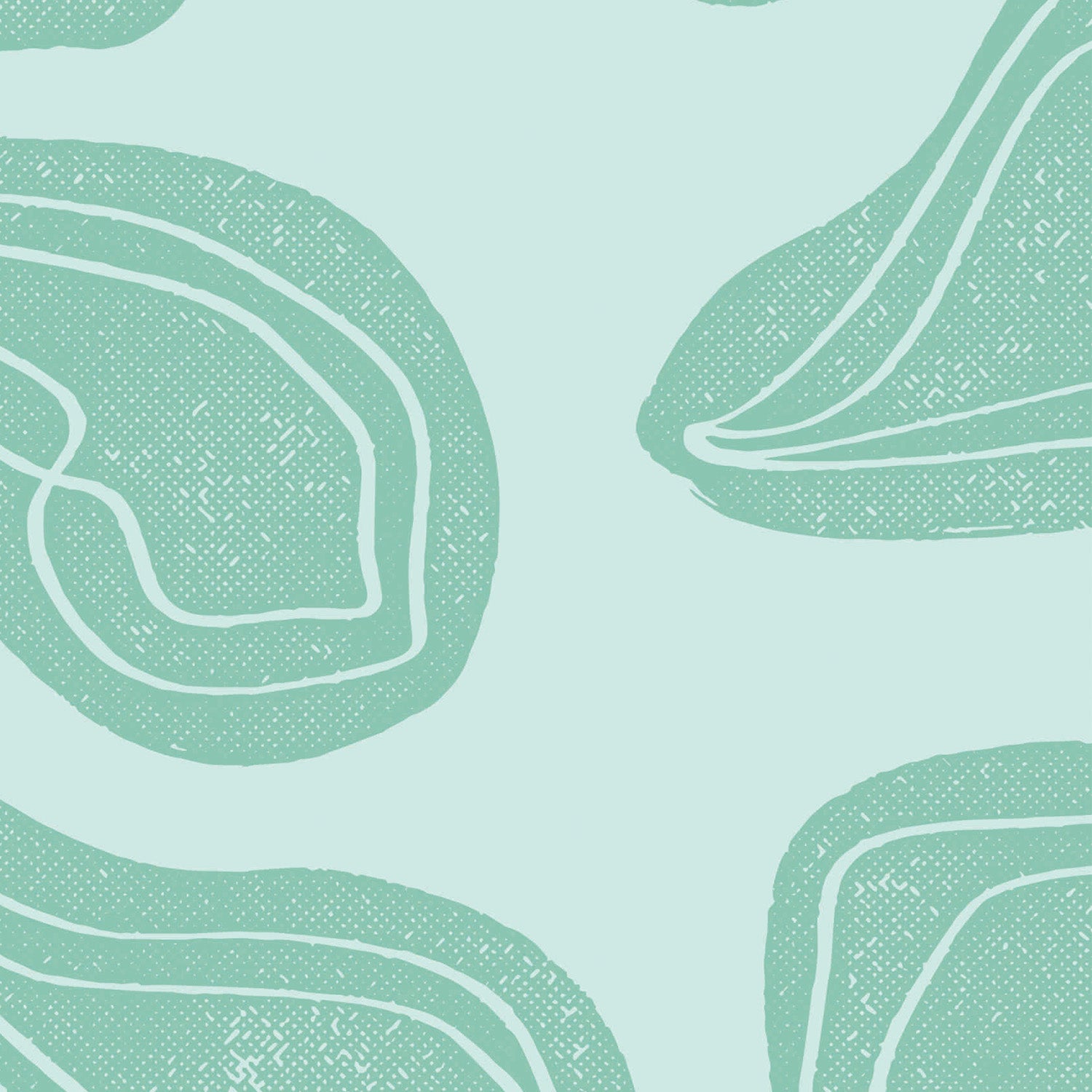 Clams Tropical