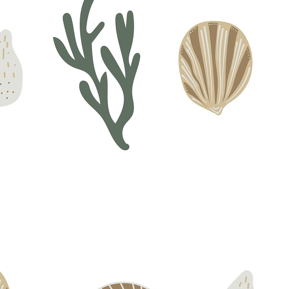 Corals And Shells-wallpaper-eco-friendly-easy-removal-Gioia Wall Art-4