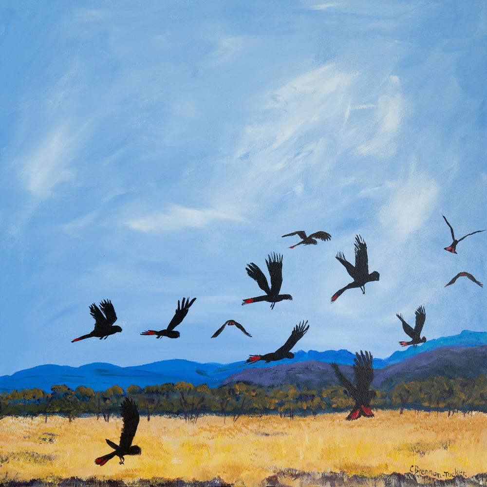 Crazy Cockies-by-Carolyn Brennan-Tucker-original art-Gioia