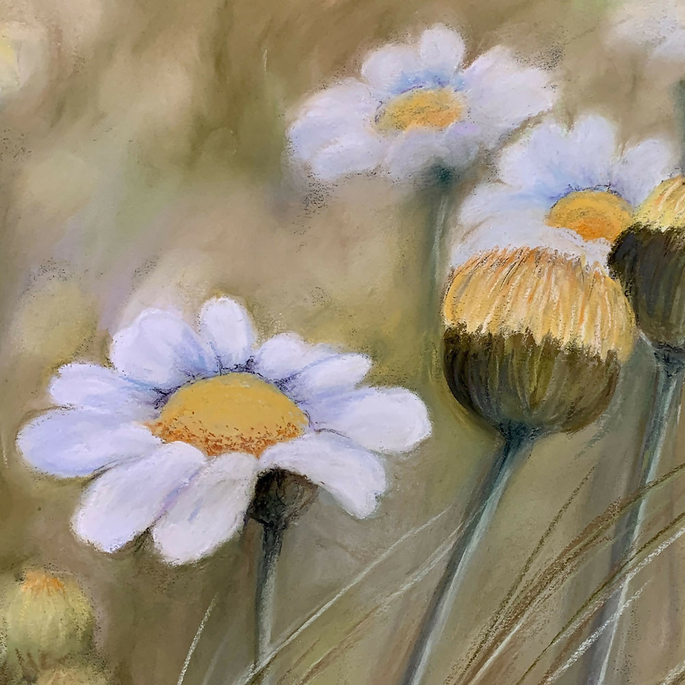 Daisies-by-Pamela Gleeson-original art-Gioia